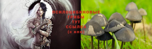 а пвп мука Болохово
