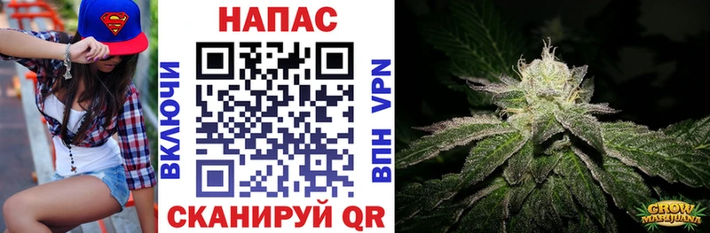 Марихуана сатива Мосальск